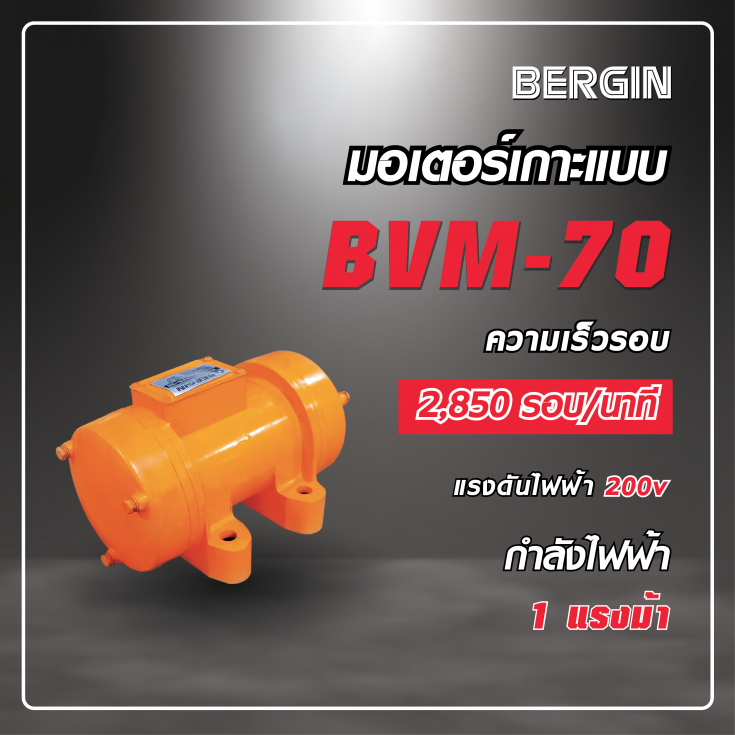 มอเตอร์เกาะแบบ BVM-70 220V